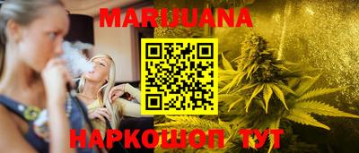 сатива Гатчина