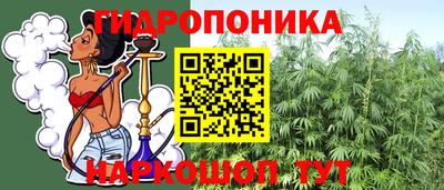 бошки Гагарин
