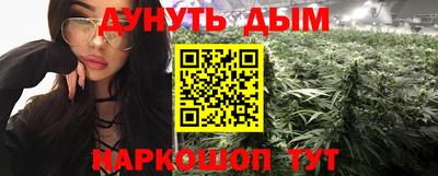 сатива Гатчина