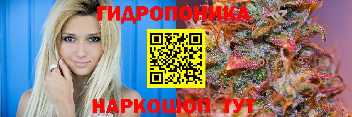 Каннабис SATIVA & INDICA Вязьма